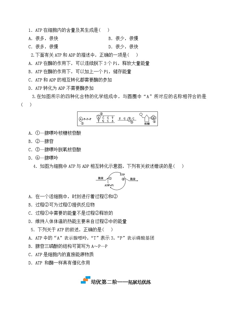 【培优分级练】高中生物(人教版2019)必修第一册 5.2《细胞的能量货币“ATP”》同步分级练(原卷版)第3页