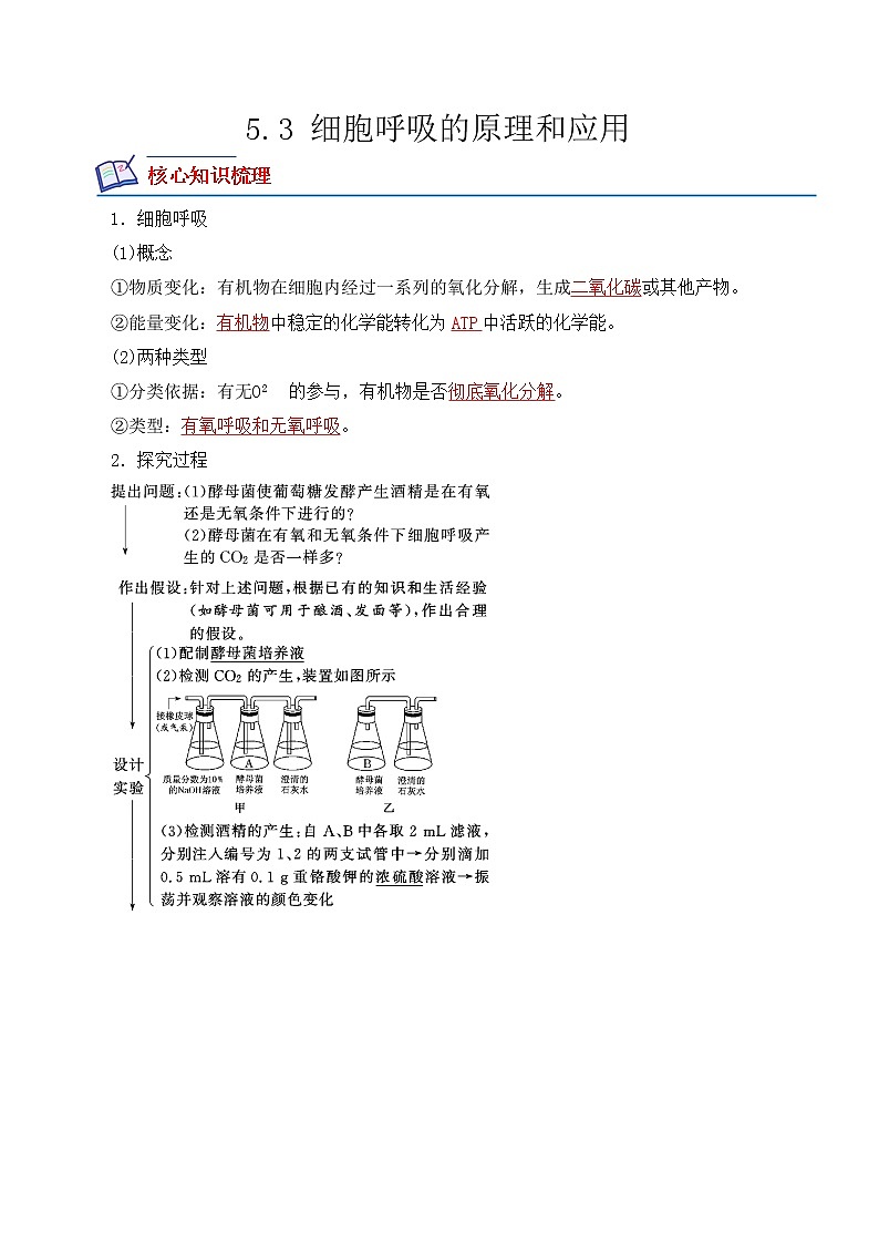 【培优分级练】高中生物(人教版2019)必修第一册 5.3《细胞呼吸的原理和应用》同步分级练(解析版)第1页