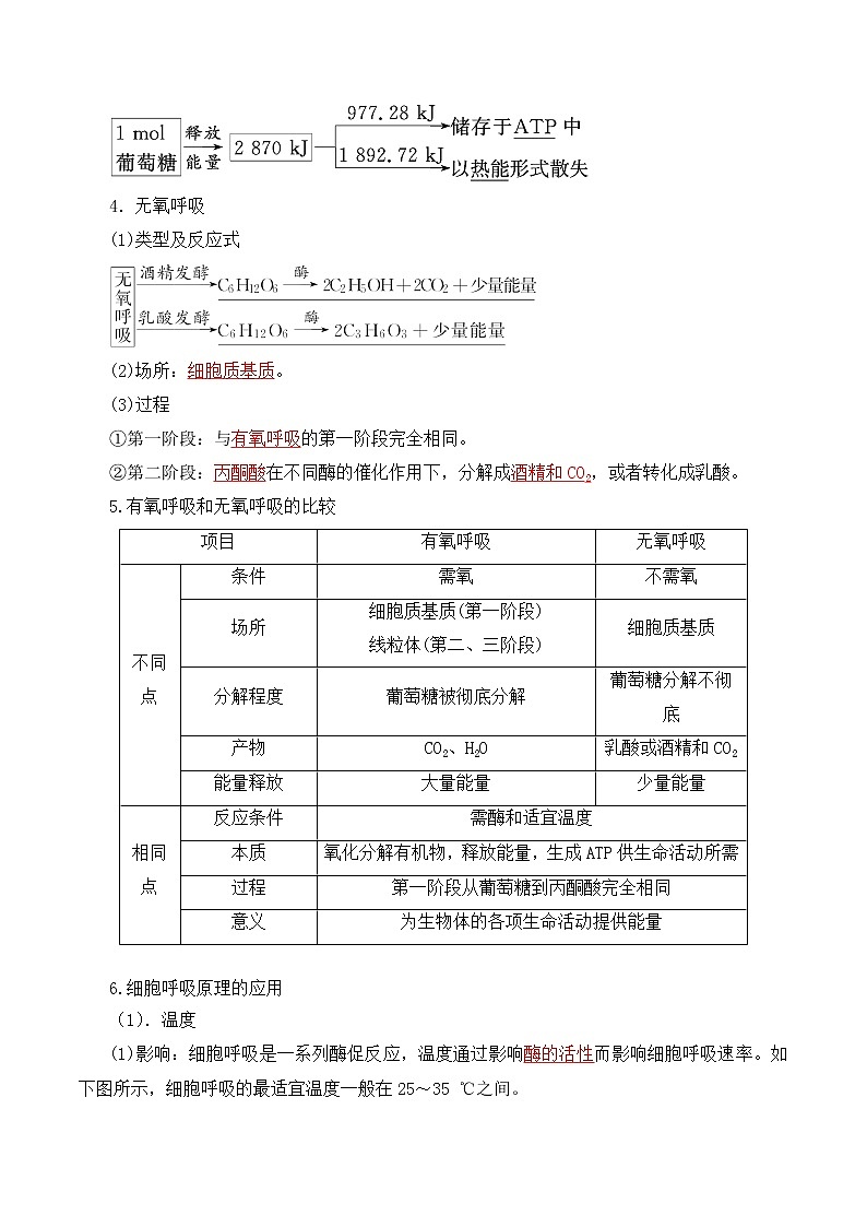 【培优分级练】高中生物(人教版2019)必修第一册 5.3《细胞呼吸的原理和应用》同步分级练(解析版)第3页