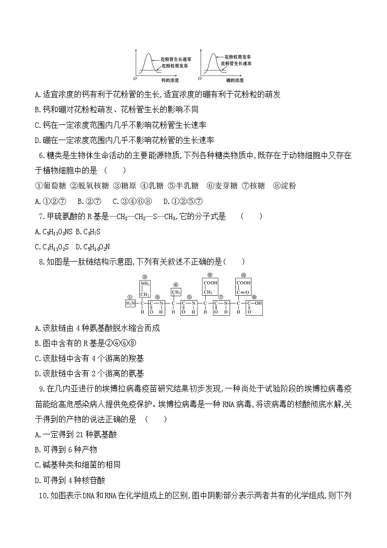 【培优分级练】高中生物(人教版2019)必修第一册 期中预测卷(二)(含解析)-全册综合02
