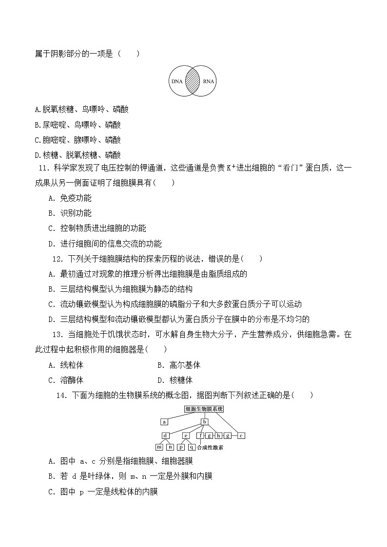 【培优分级练】高中生物(人教版2019)必修第一册 期中预测卷(二)(含解析)-全册综合03