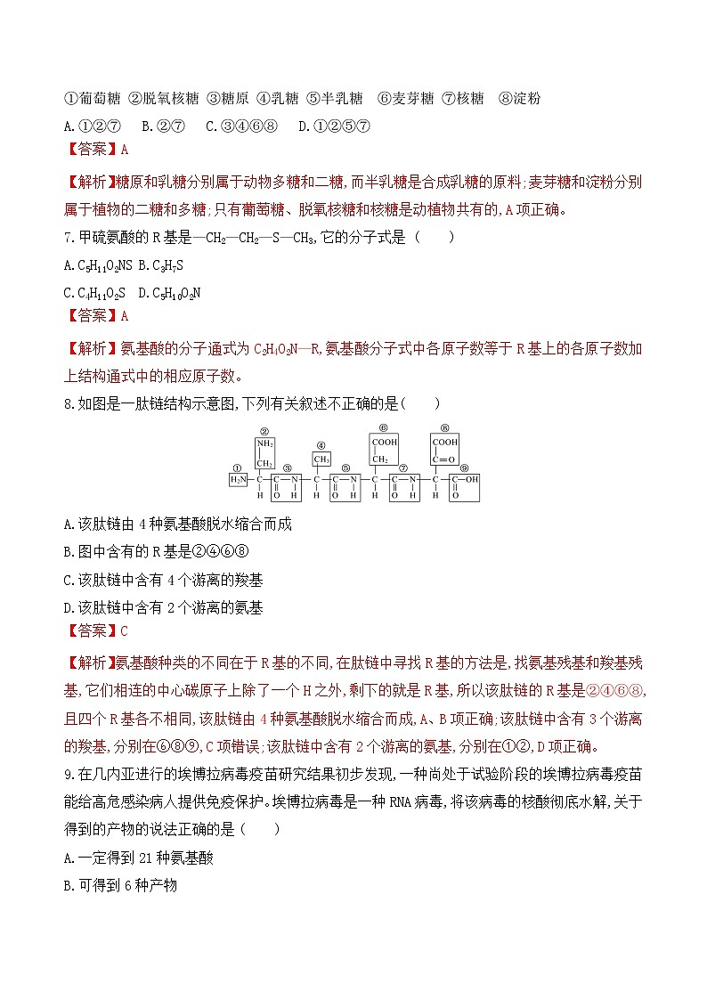 【培优分级练】高中生物(人教版2019)必修第一册 期中预测卷(二)(含解析)-全册综合03