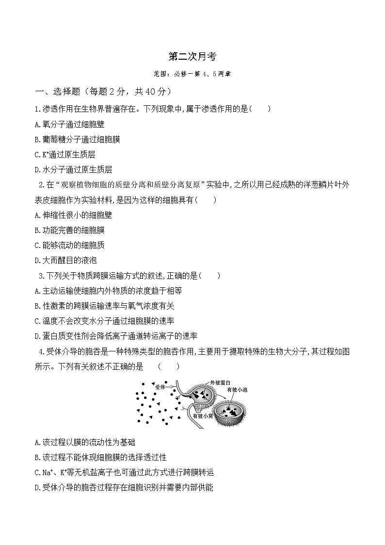 【培优分级练】高中生物(人教版2019)必修第一册 第二次月考卷(含解析)-全册综合01