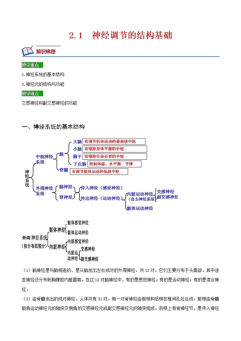 【培优分级练】高中生物(人教版2019)选择性必修第一册 2.1《神经调节的结构基础》同步分级练(解析版)第1页