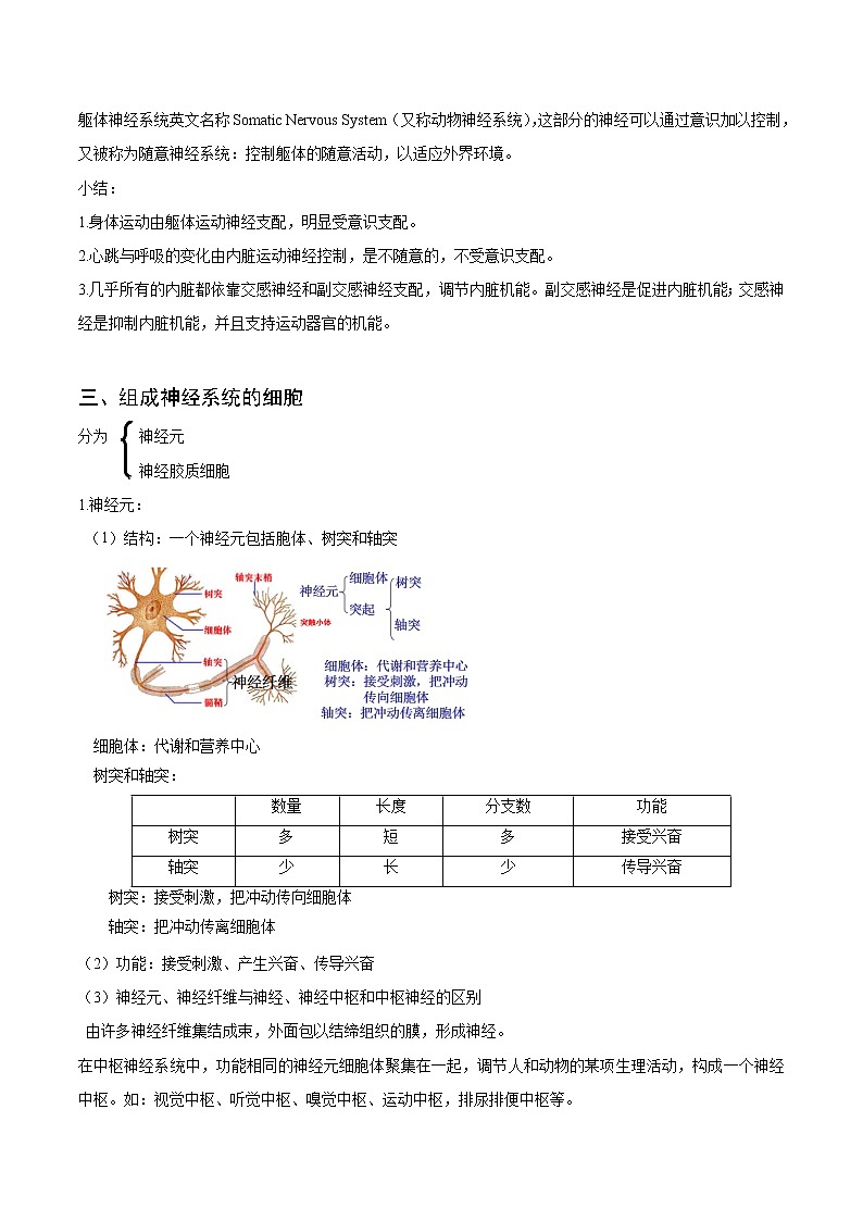 【培优分级练】高中生物(人教版2019)选择性必修第一册 2.1《神经调节的结构基础》同步分级练(原卷版)第3页