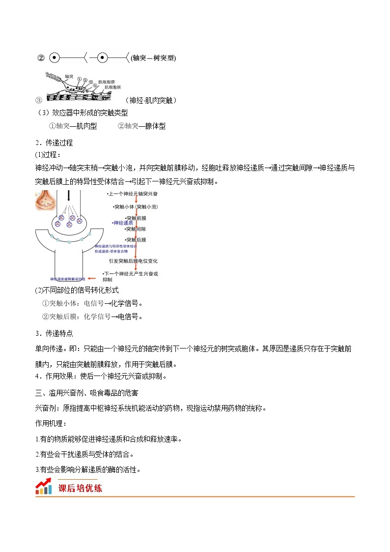 【培优分级练】高中生物(人教版2019)选择性必修第一册 2.3《神经冲动的产生和传导》同步分级练（含解析）03