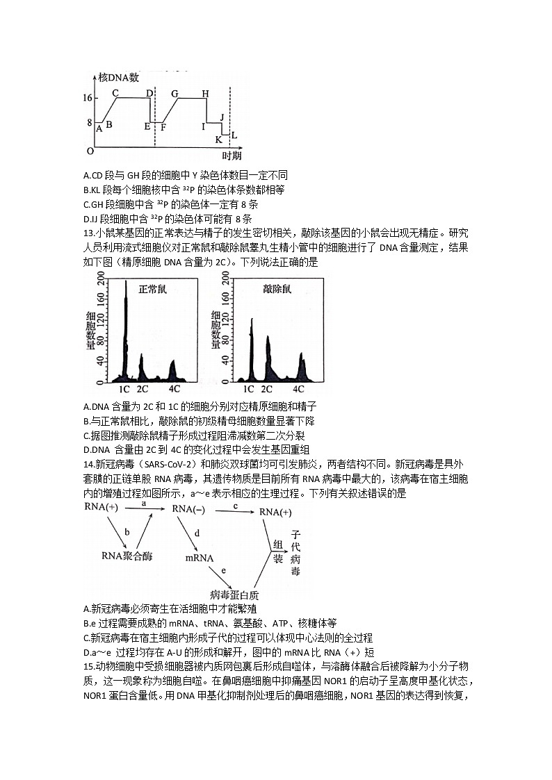 安徽省”皖南八校“2022-2023学年高三上学期第一次大联考生物试卷(含答案)第3页