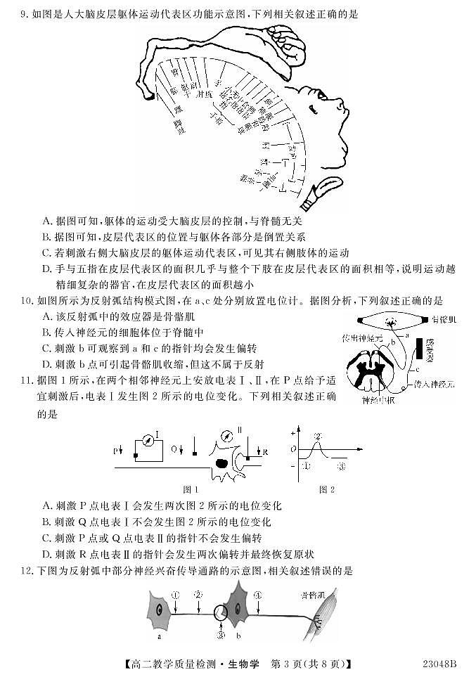 河南省豫北名校2022-2023学年高二生物上学期9月教学质量检测(PDF版附解析)03