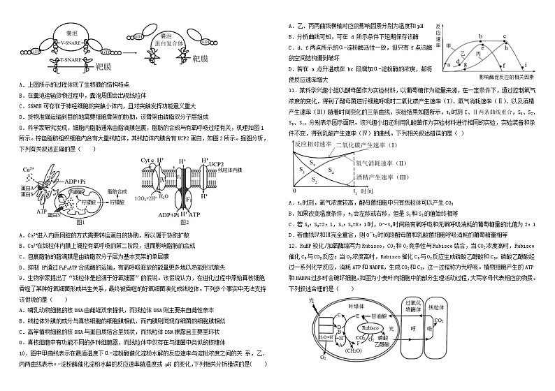 临川一中 2022-2023 学年度上学期期中考试生物试题 无答案第2页