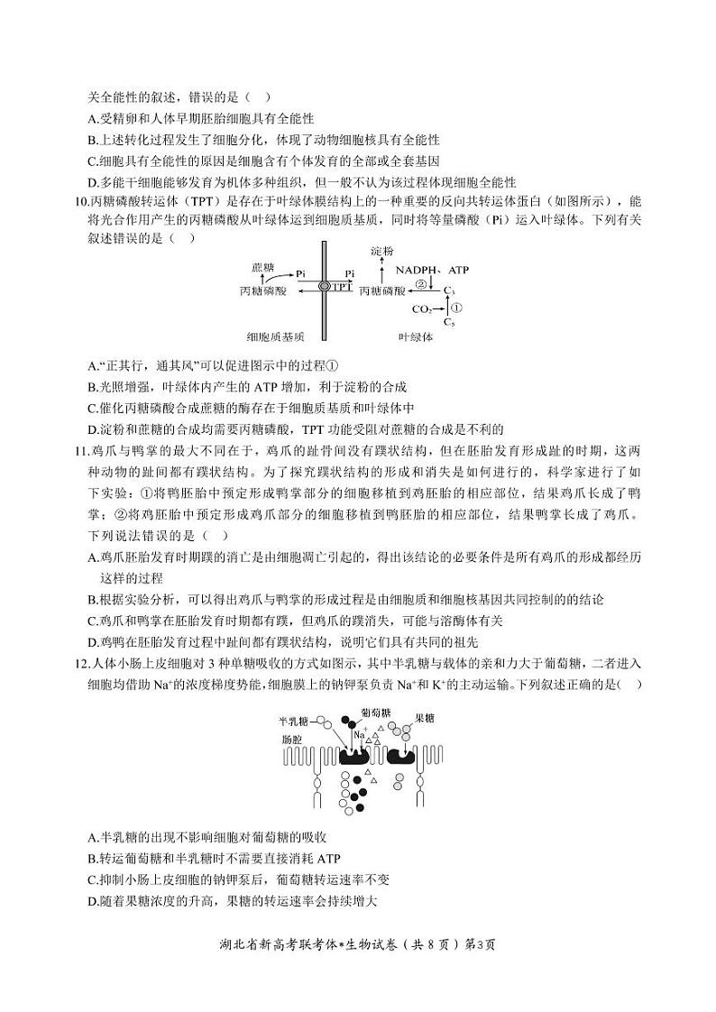 2023湖北省荆荆宜三校高三上学期10月联考试题生物PDF版含解析(可编辑)03