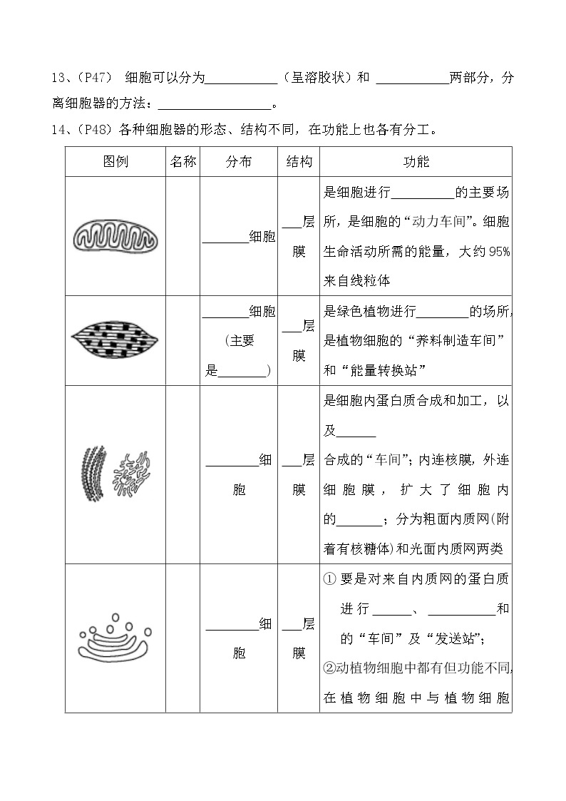 【教材默写材料】高中生物(人教版2019)必修一 第3章 细胞的基本结构-同步默写材料 试卷03