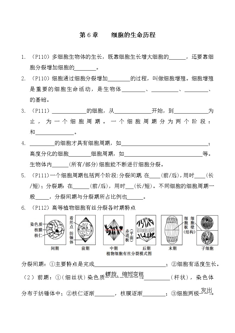 【教材默写材料】高中生物(人教版2019)必修一 第6章 细胞的生命历程-同步默写材料 试卷01