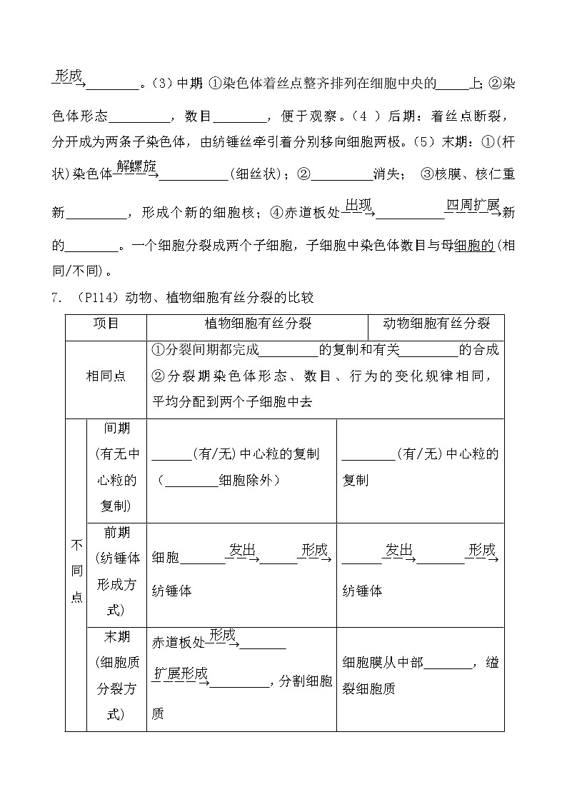 【教材默写材料】高中生物(人教版2019)必修一 第6章 细胞的生命历程-同步默写材料 试卷02
