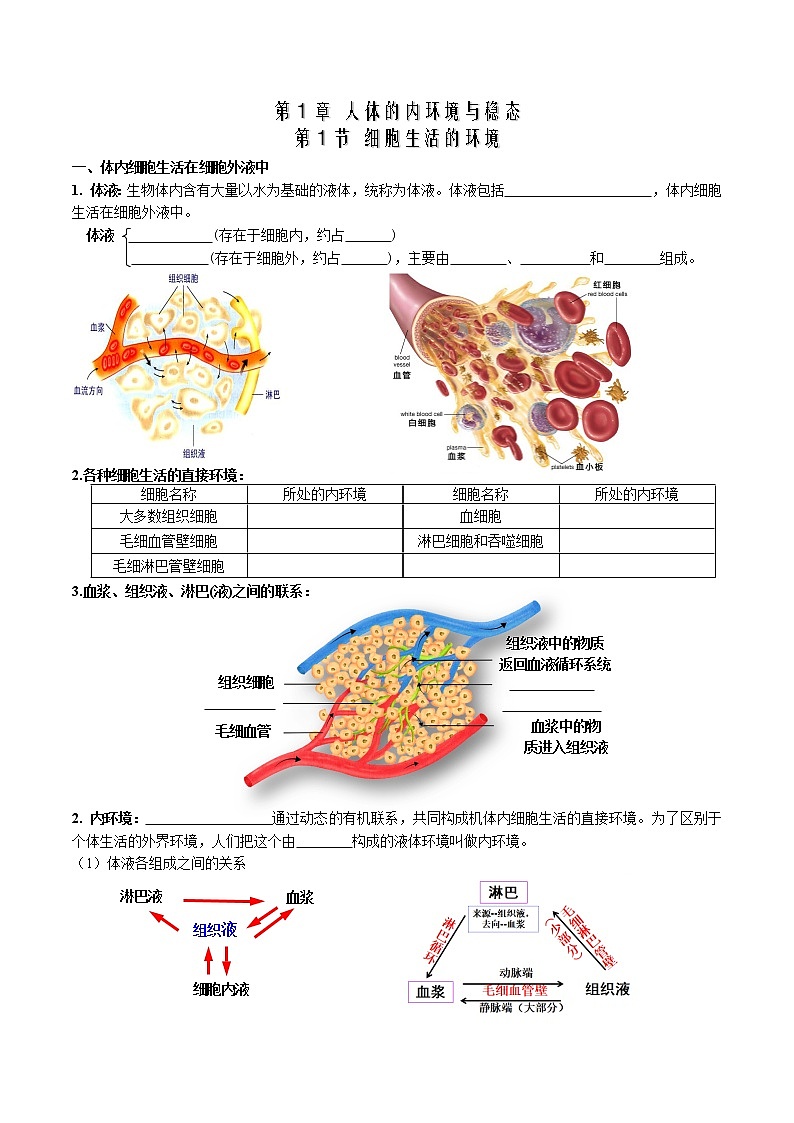 第1章 人体的内环境与稳态-【学霸养成】2022-2023学年高二上学期生物必背知识清单(人教版2019选择性必修1)(学生版)第1页