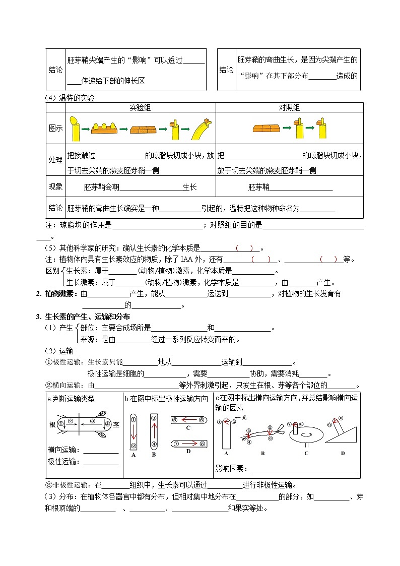 第5章 植物生命活动的调节-【学霸养成】2022-2023学年高二上学期生物必背知识清单(人教版2019选择性必修1)(学生版)第2页