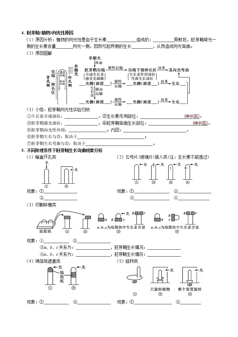 第5章 植物生命活动的调节-【学霸养成】2022-2023学年高二上学期生物必背知识清单(人教版2019选择性必修1)(学生版)第3页