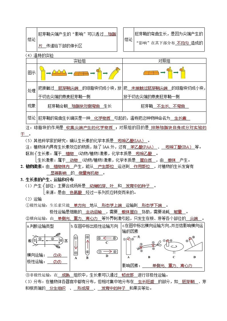 第5章 植物生命活动的调节-【学霸养成】2022-2023学年高二上学期生物必背知识清单(人教版2019选择性必修1)(教师版)第2页