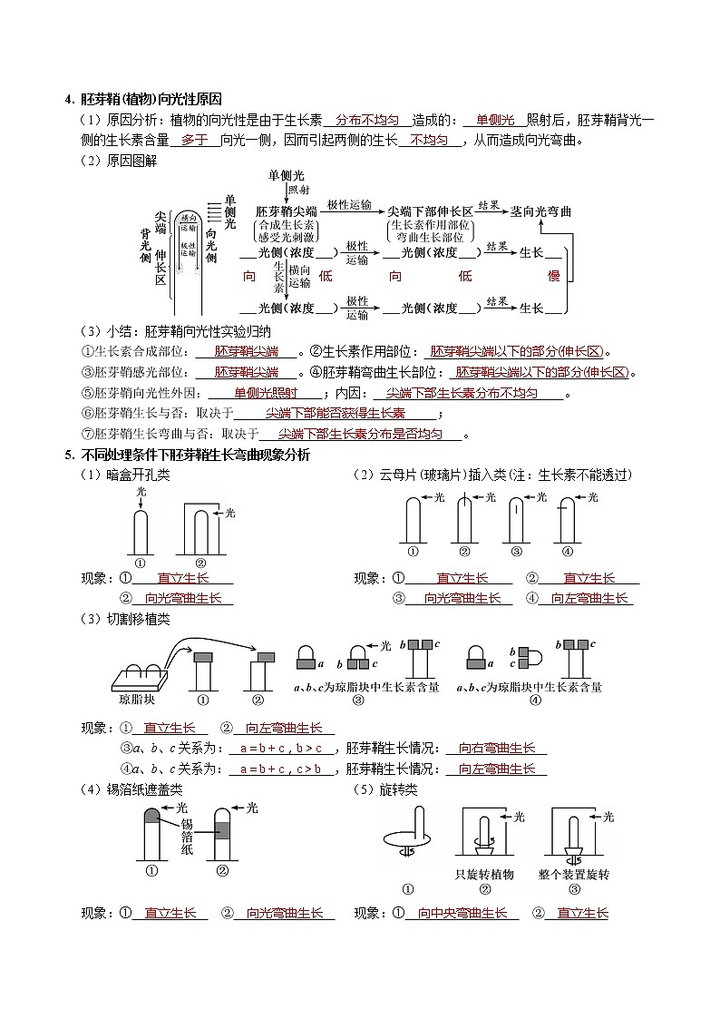 第5章 植物生命活动的调节-【学霸养成】2022-2023学年高二上学期生物必背知识清单(人教版2019选择性必修1)(教师版)第3页