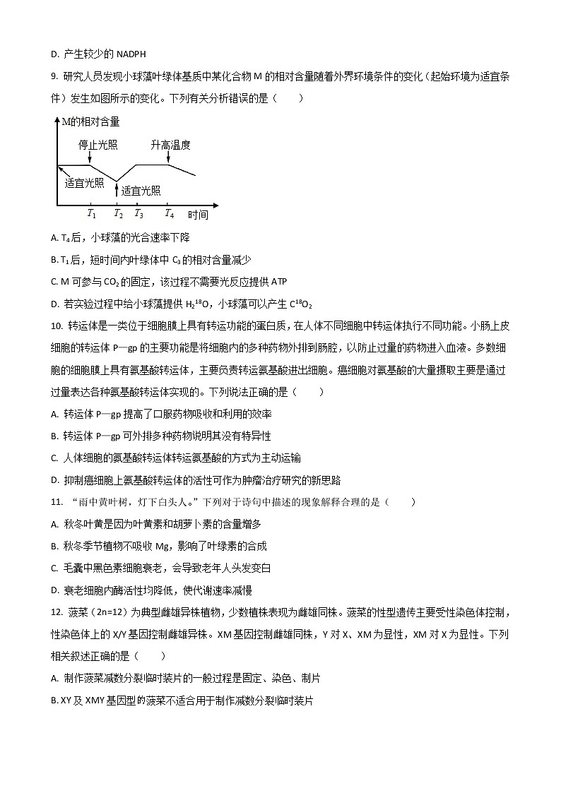 2023晋城一中高三上学期第五次调研考试生物试题含答案第3页