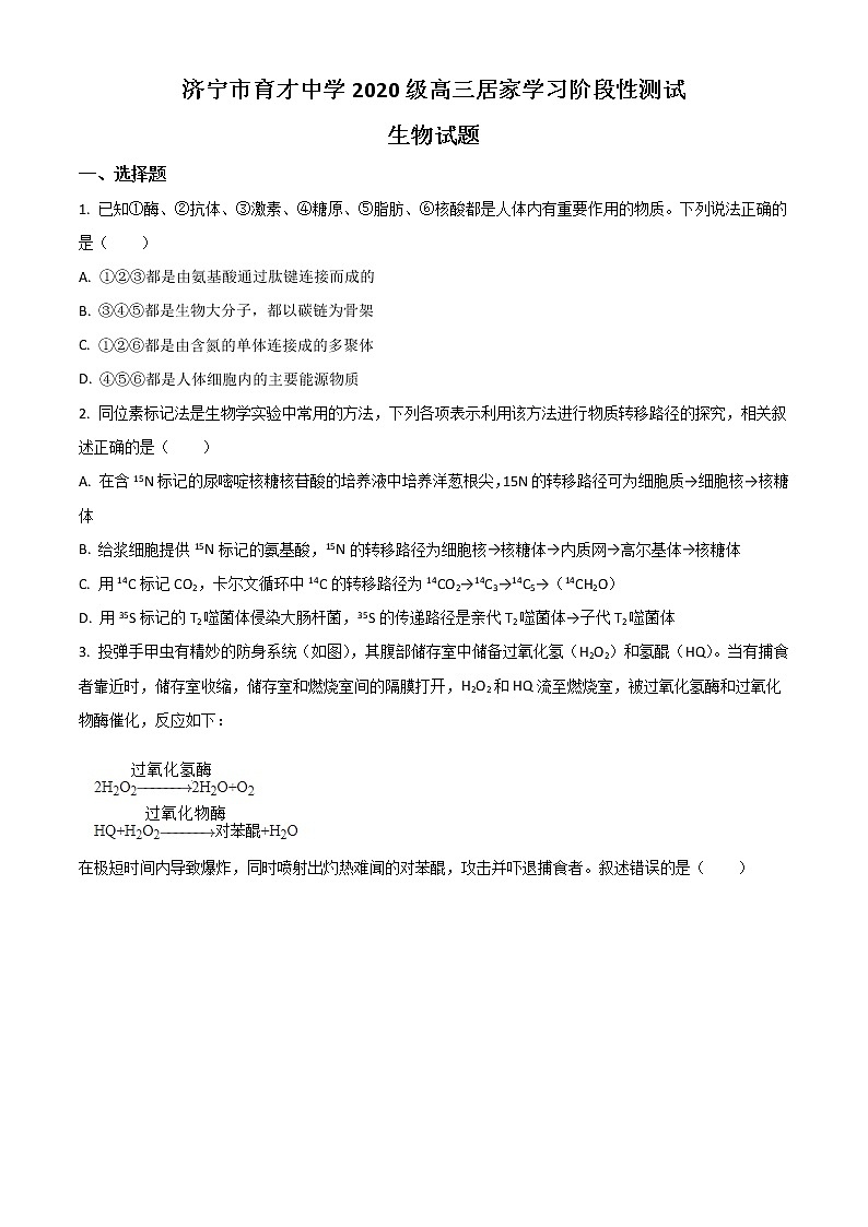2023济宁育才中学高三上学期10月线上阶段性检测生物试题含解析第1页