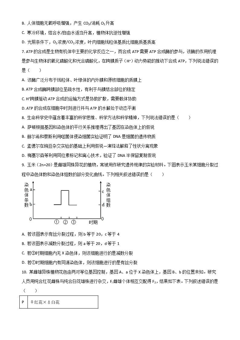 2023济宁育才中学高三上学期10月线上阶段性检测生物试题含解析第3页