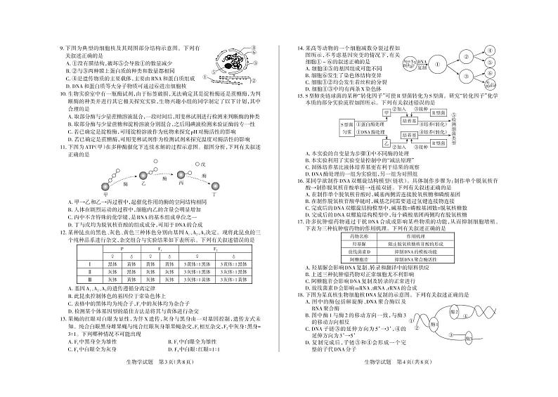 2023山西省思而行高三上学期一轮复习期中考试生物试题扫描版含答案第2页