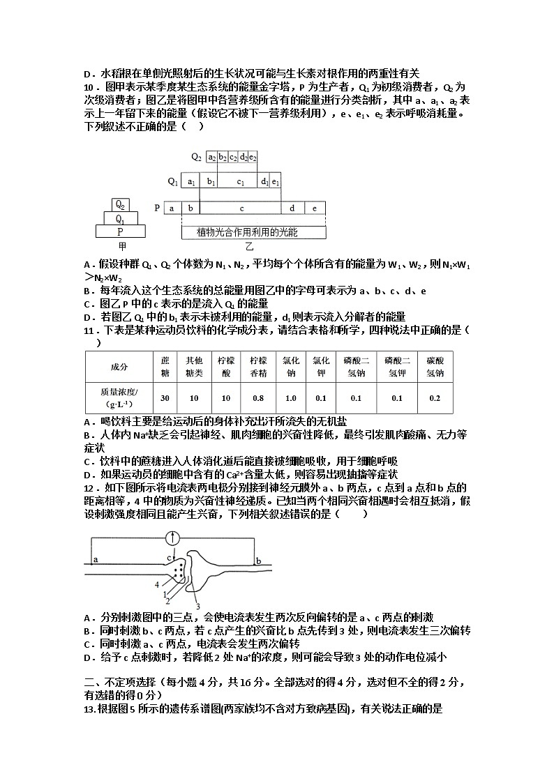 江西省丰城中学2022-2023学年上学期高二创新班期中考试生物试卷无答案第3页