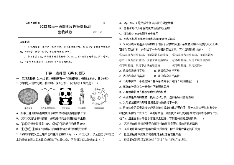 2023青岛第五十八中学高一上学期10月月考生物试题含答案01
