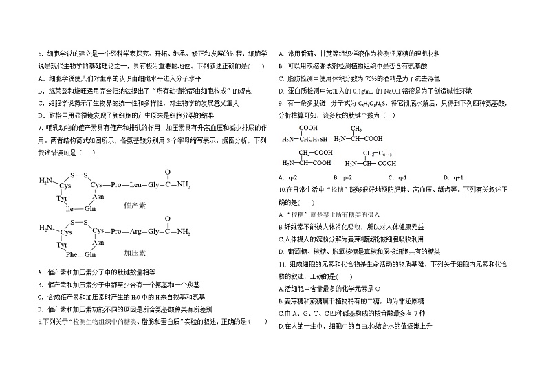 2023青岛第五十八中学高一上学期10月月考生物试题含答案02