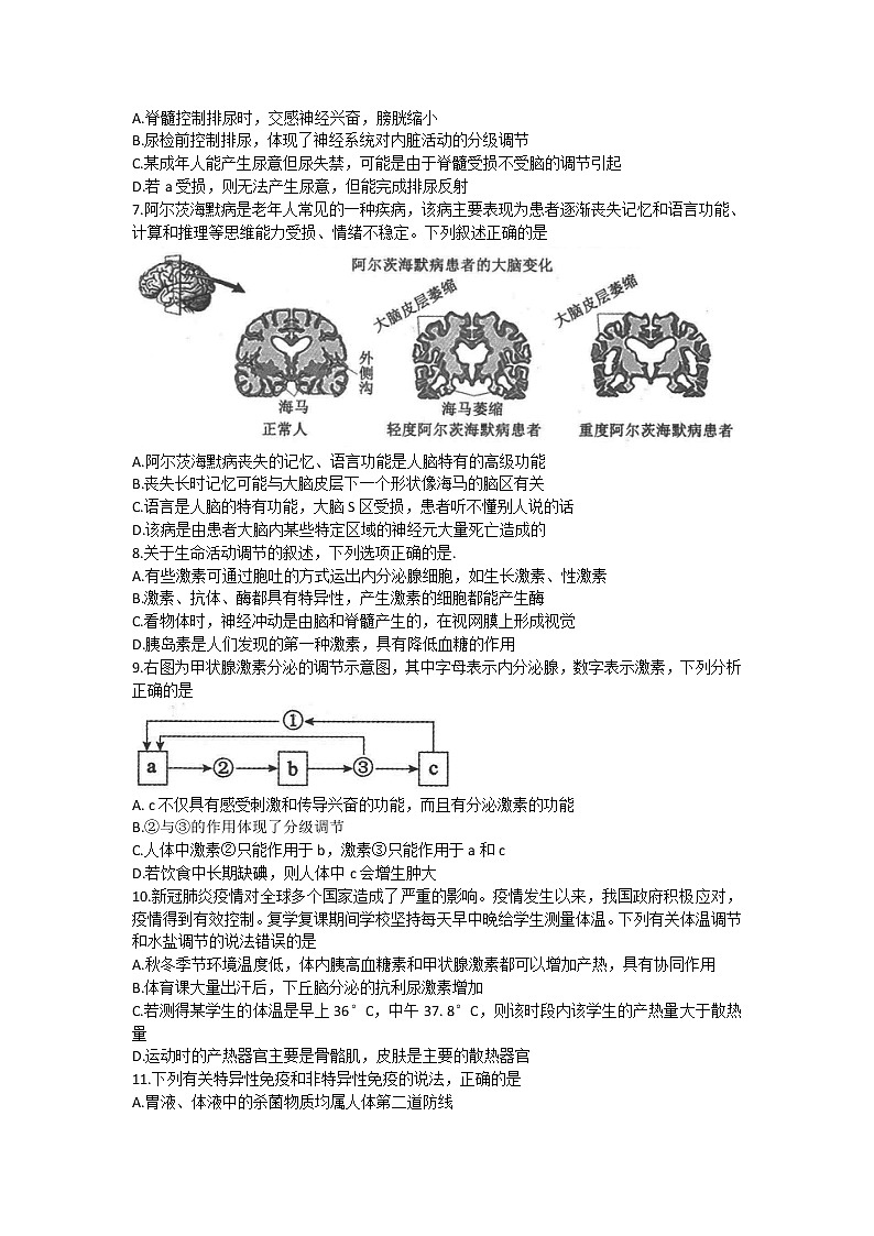 河南省许平汝联盟2022-2023学年高二上学期期中联考生物试题无答案第2页