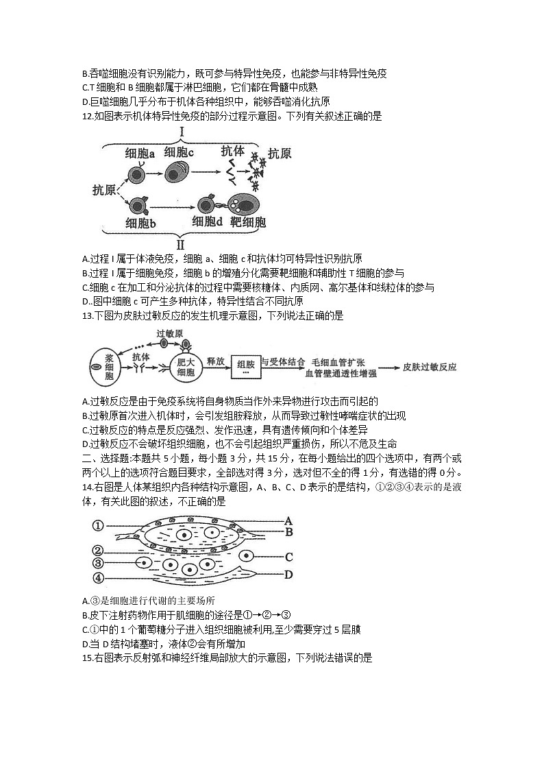 河南省许平汝联盟2022-2023学年高二上学期期中联考生物试题无答案第3页