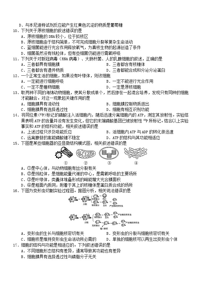 生物第2页