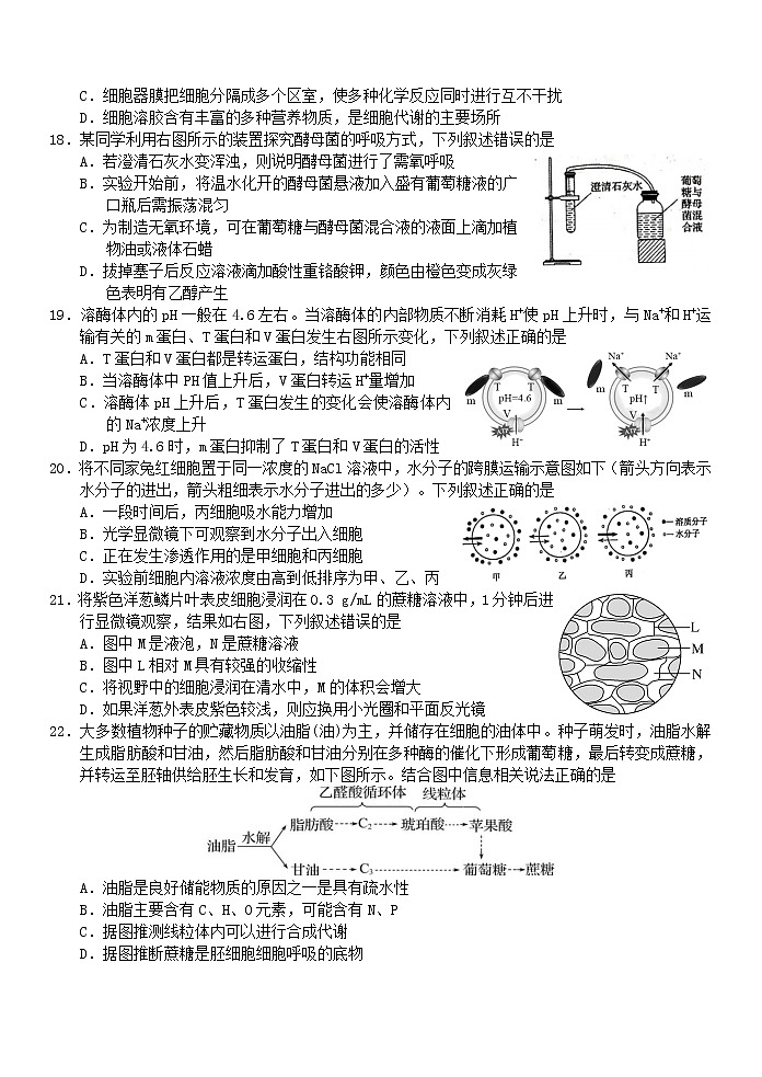 生物第3页