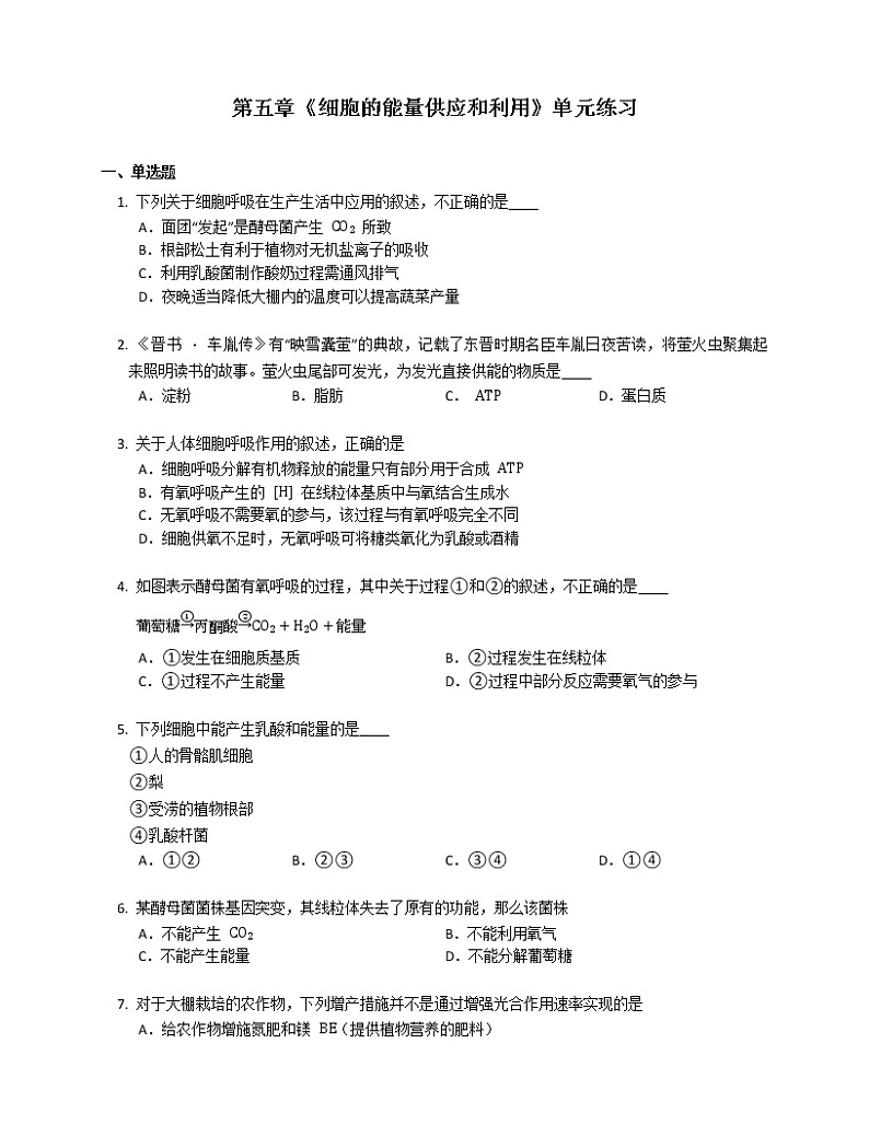 第五章《细胞的能量供应和利用》单元练习 (1)第1页
