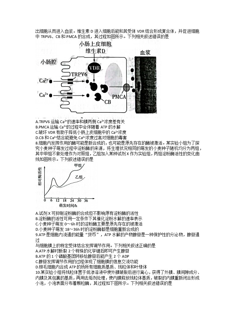 2023山西省三晋名校联盟―高三上学期毕业班阶段性测试(二)生物含答案第2页