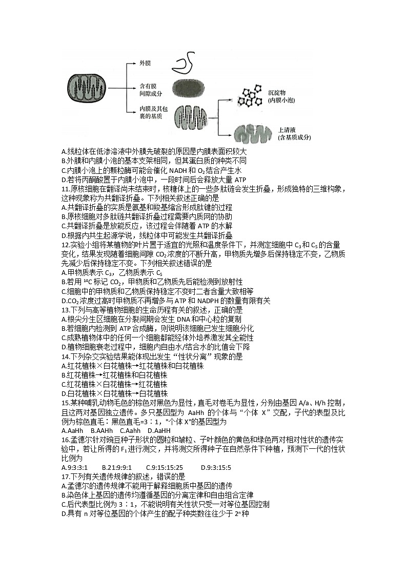 2023山西省三晋名校联盟―高三上学期毕业班阶段性测试(二)生物含答案第3页