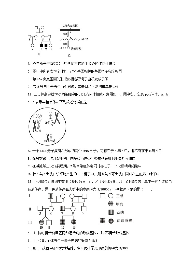 2022新疆生产建设兵团第十师北屯高级中学高二上学期期中考试生物试题含解析第3页