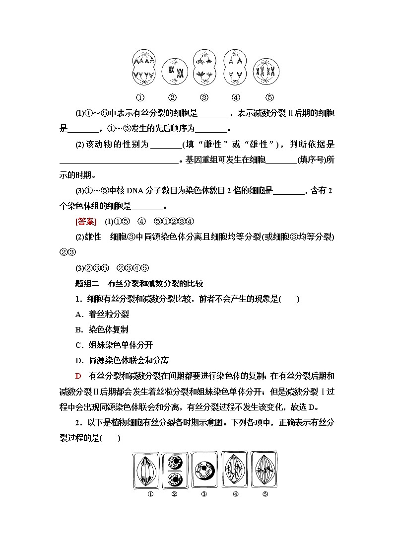 普通高中生物学业水平合格性考试考点过关练9遗传的细胞学基础含答案第2页