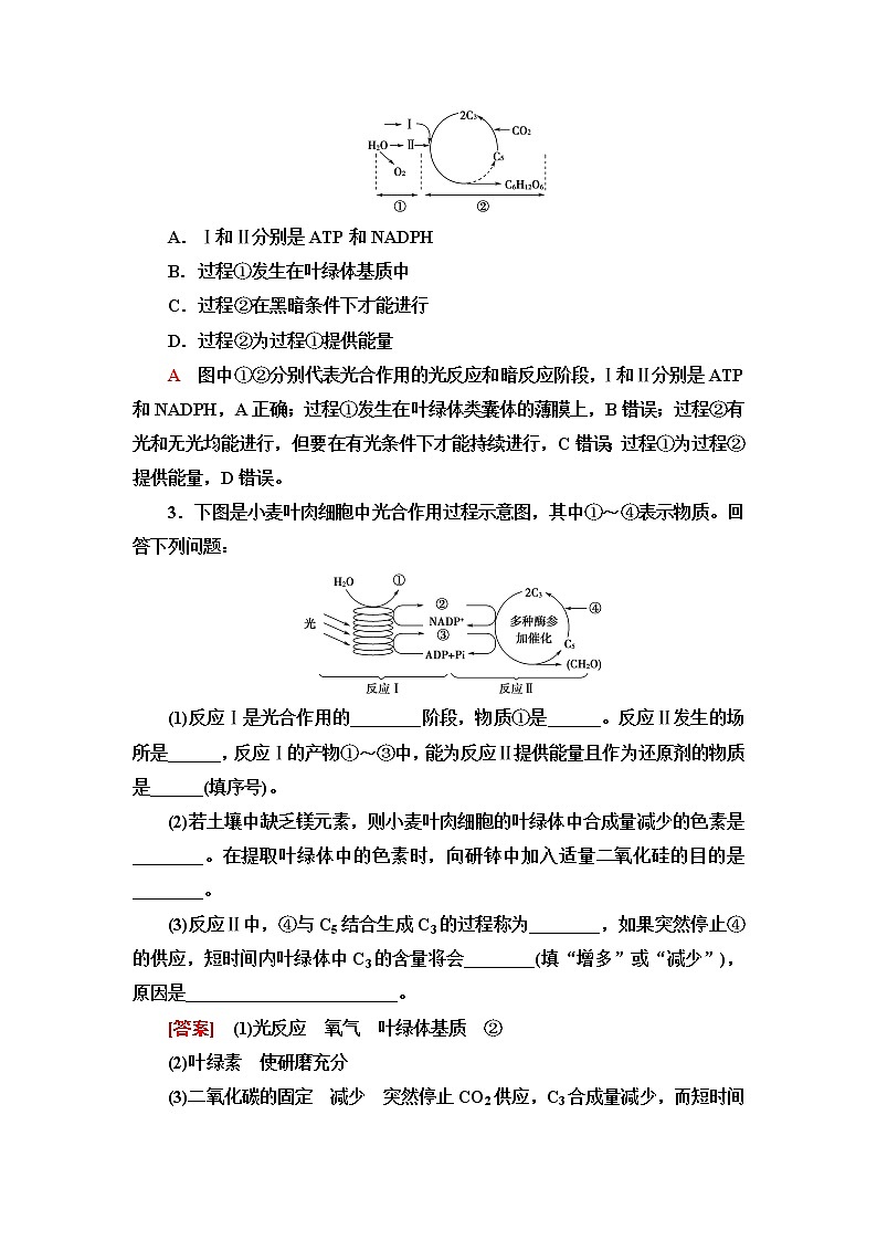 普通高中生物学业水平合格性考试考点过关练6光合作用含答案03