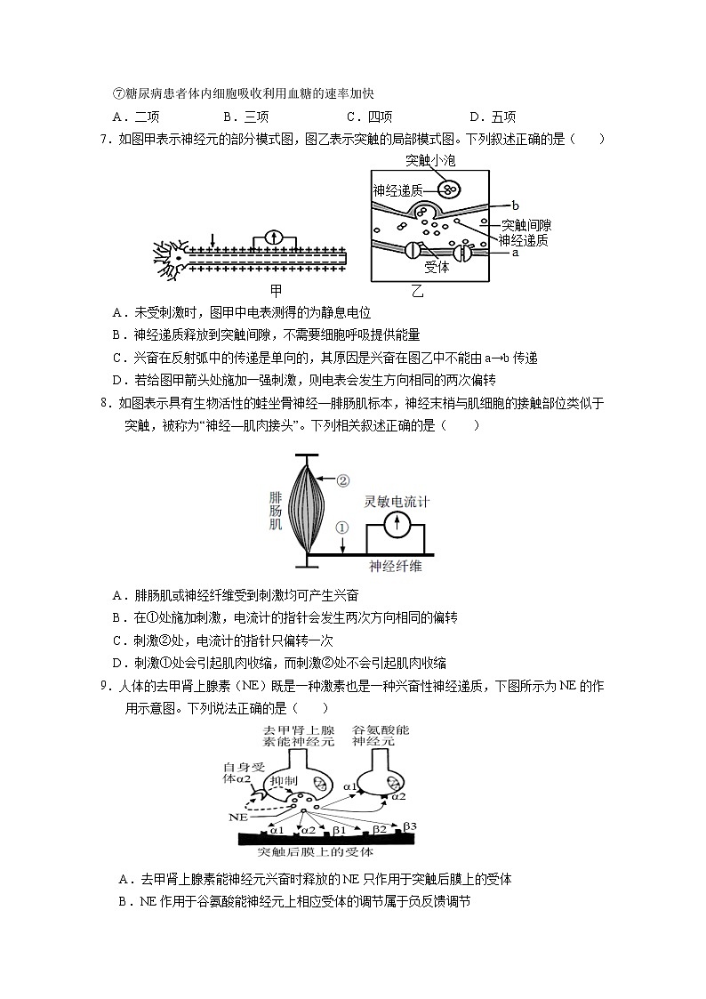河北省保定市部分学校2022-2023学年高二生物上学期9月考试试题(Word版附答案)02