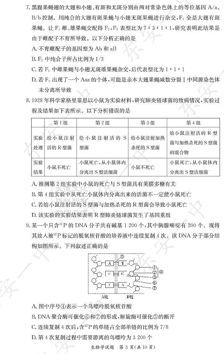 2023长沙一中等名校联考联合体(炎德大联考)高三上学期11月联考生物试卷PDF版含答案03