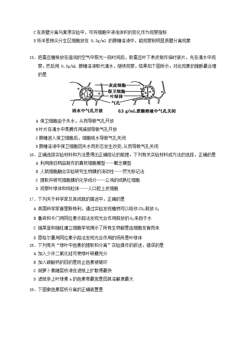 2021宁夏六盘山高级中学高三上学期期中考试生物试题缺答案第3页