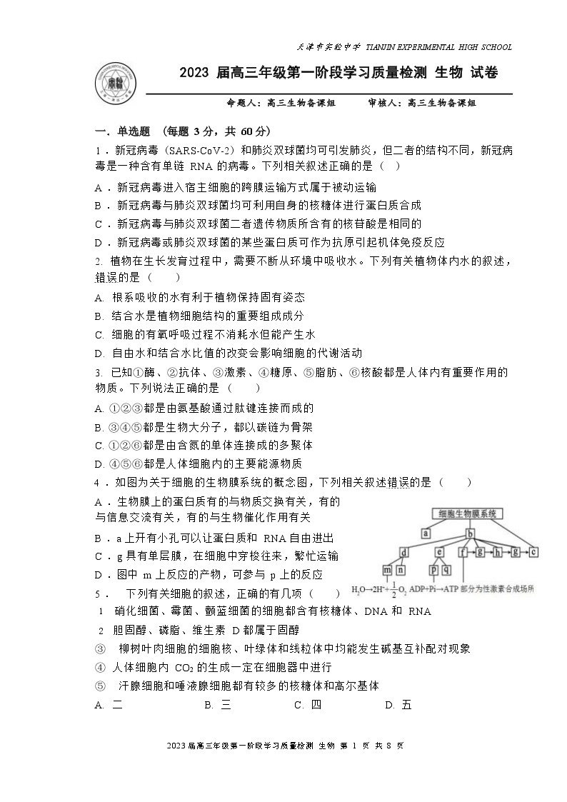 2023天津市实验中学高三上学期第一阶段学习质量检测生物试题含答案01