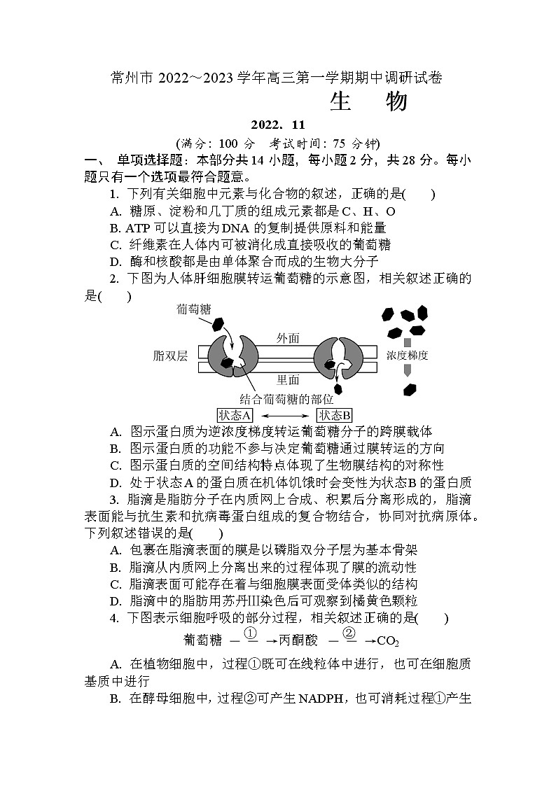 2023常州高三上学期期中考试生物试题含答案01