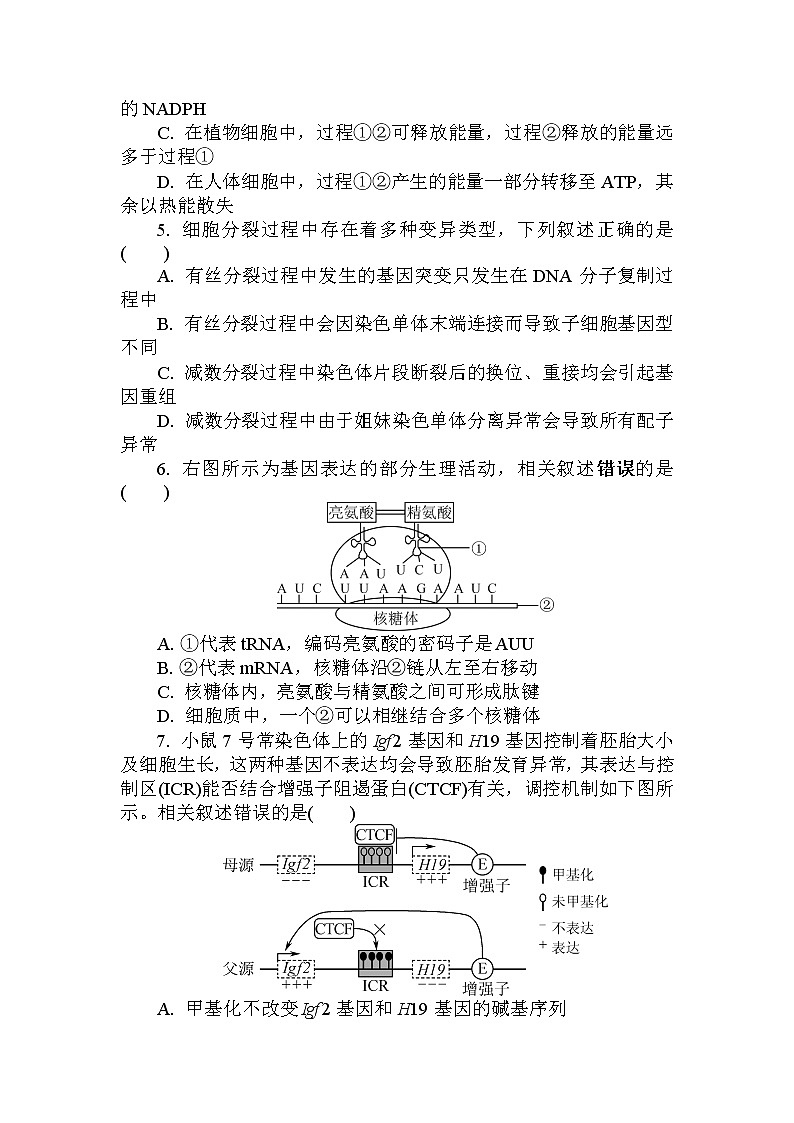2023常州高三上学期期中考试生物试题含答案02