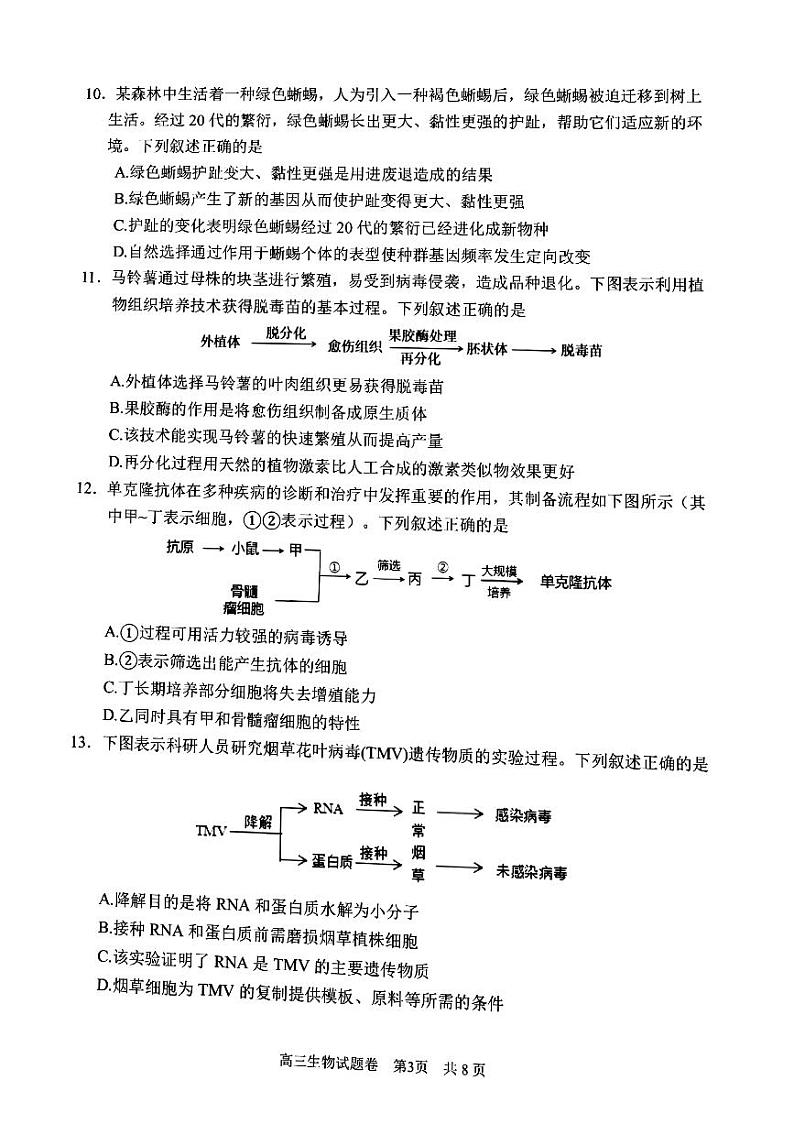 2023丽水、湖州、衢州高三上学期(11月)一模生物试题03