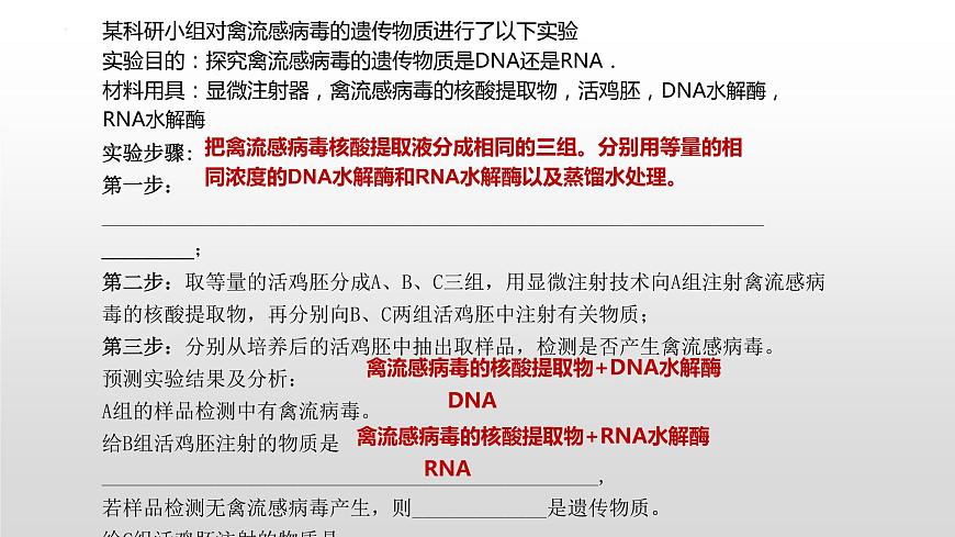 2021屆高三生物一輪復(fù)習(xí)課件：細(xì)胞中的核酸、糖類和脂質(zhì)第7頁