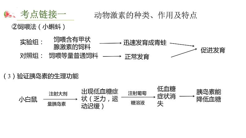2023届高考一轮复习微专题 分离定律常见题型的解题方式第8页
