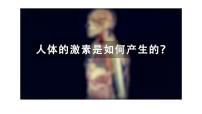 2023届高三生物一轮复习课件：体液调节
