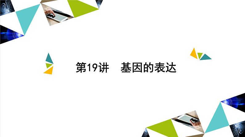 2023届高三一轮复习生物:第19讲 基因的表达课件第1页